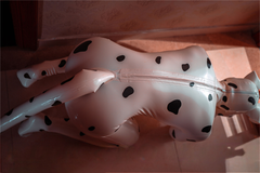 Mannelijke Dalmatische Catsuit