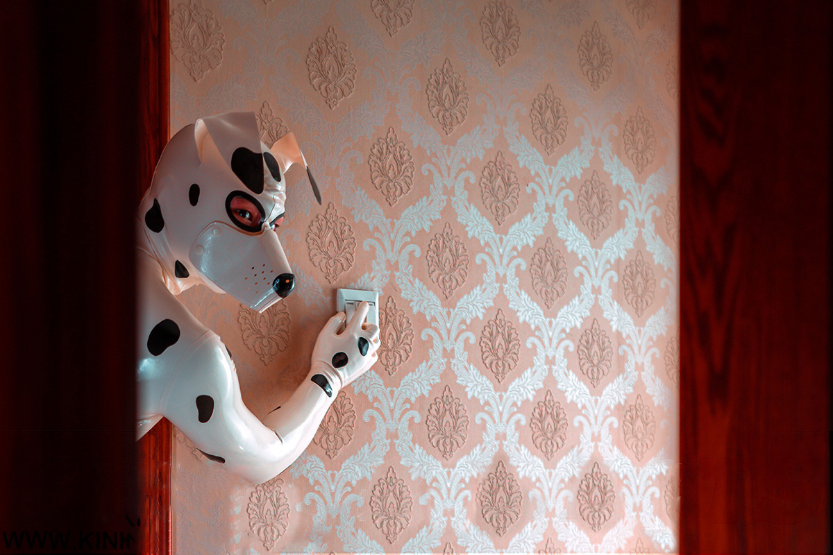 Male Dalmatian Catsuit