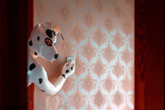 Mannelijke Dalmatische Catsuit