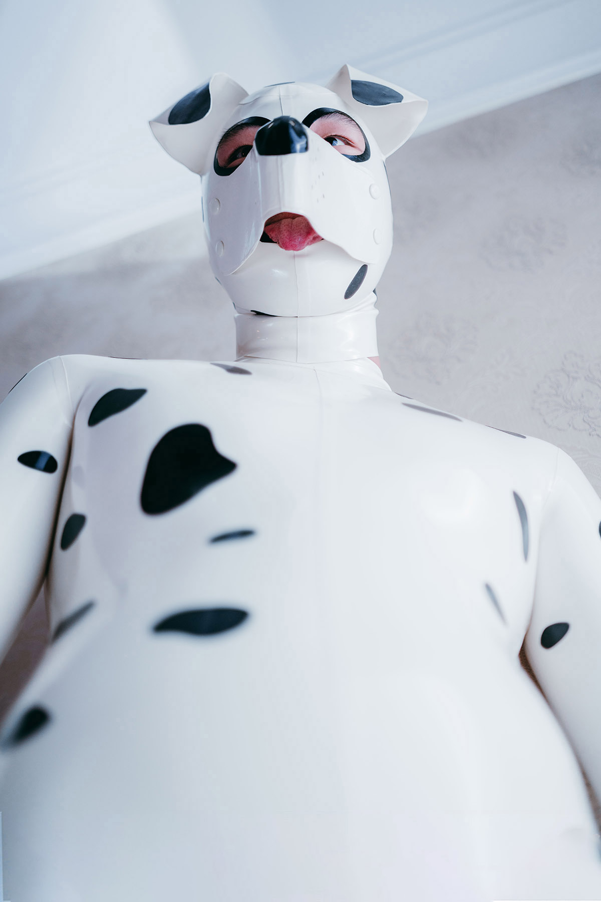 Mannelijke Dalmatische Catsuit