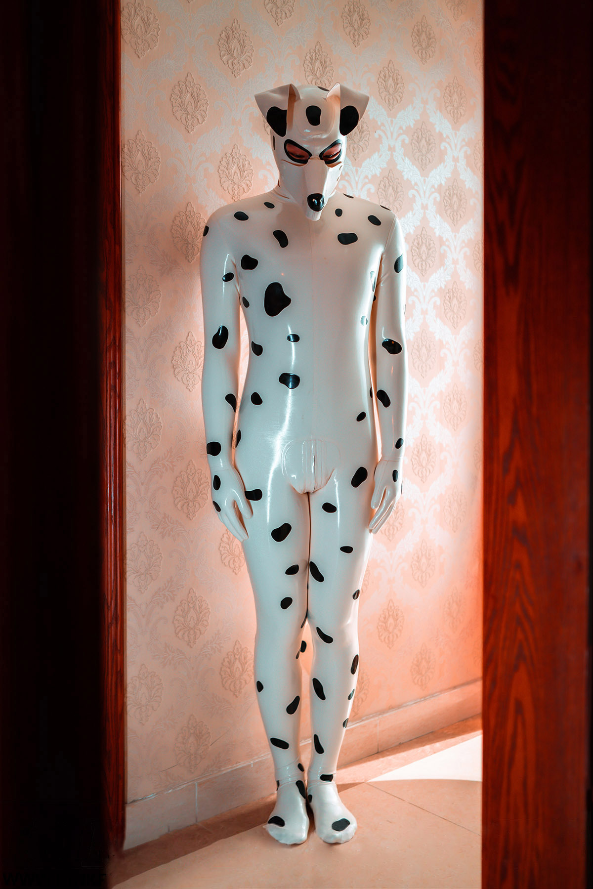 Mannelijke Dalmatische Catsuit