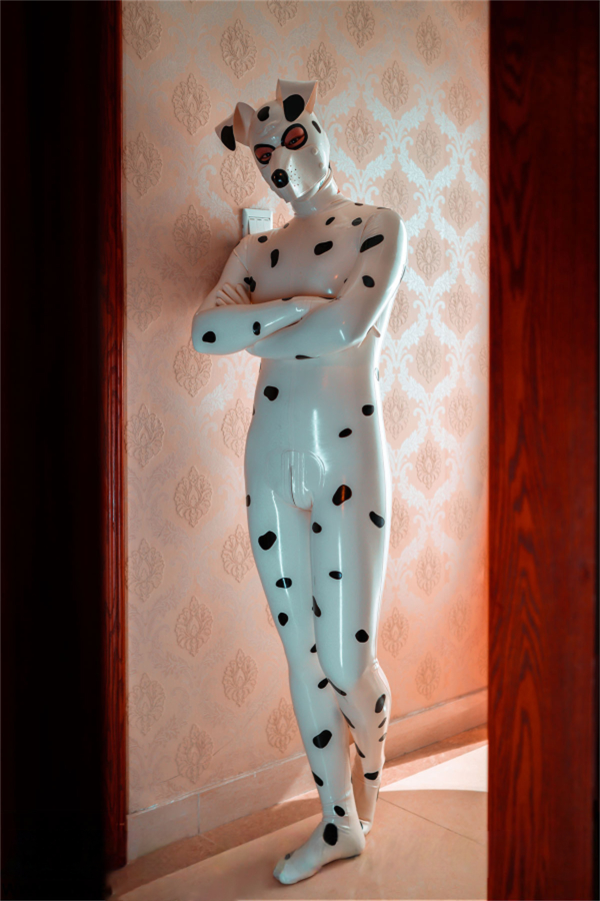 Mannelijke Dalmatische Catsuit