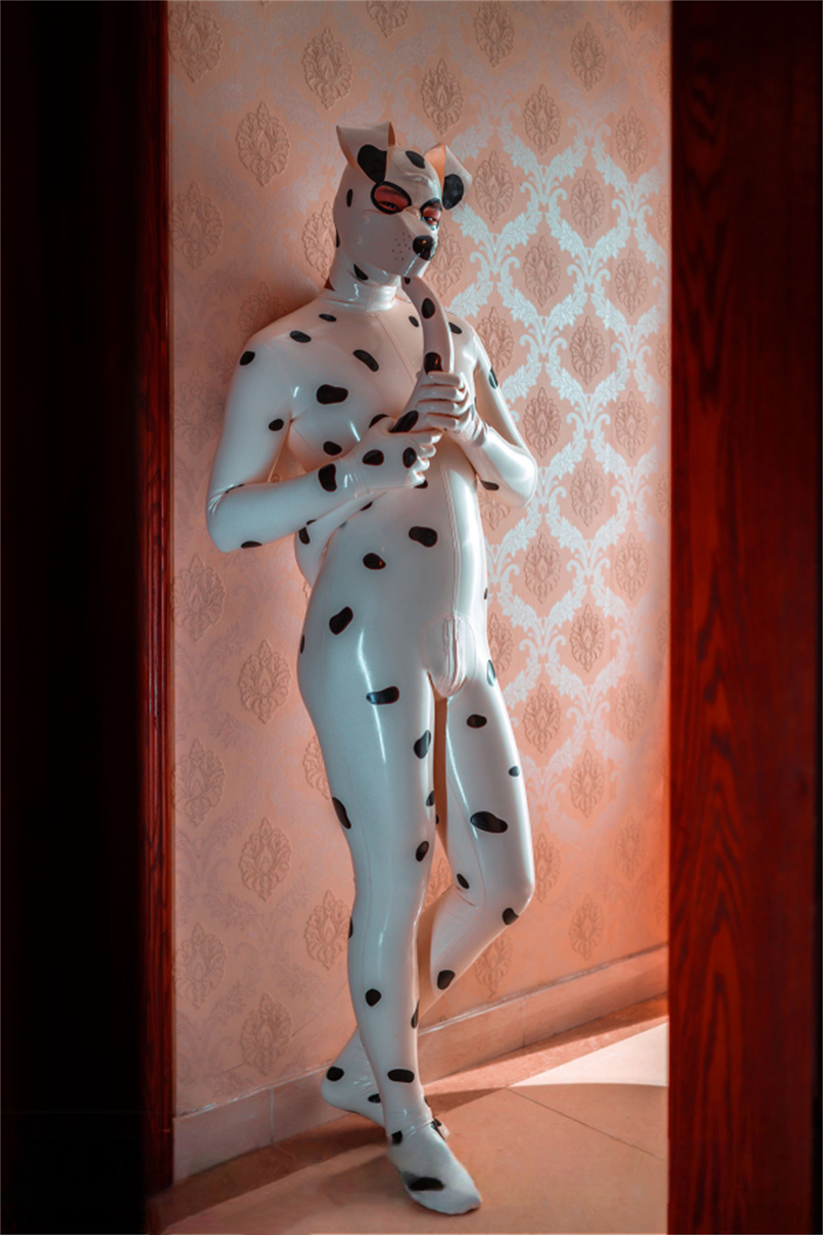 Mannelijke Dalmatische Catsuit