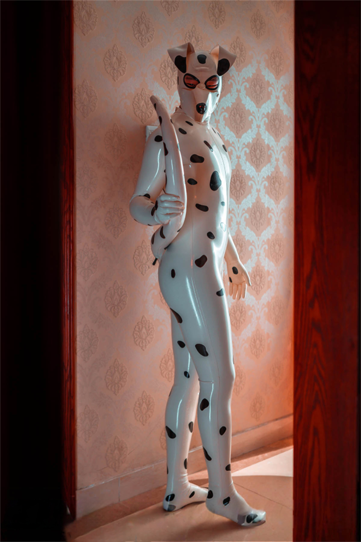 Mannelijke Dalmatische Catsuit