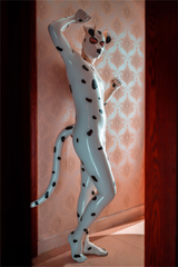 Mannelijke Dalmatische Catsuit