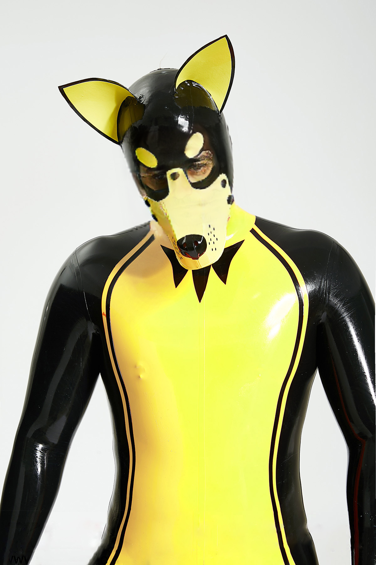 Mannelijke Kinky Kelpie Catsuit