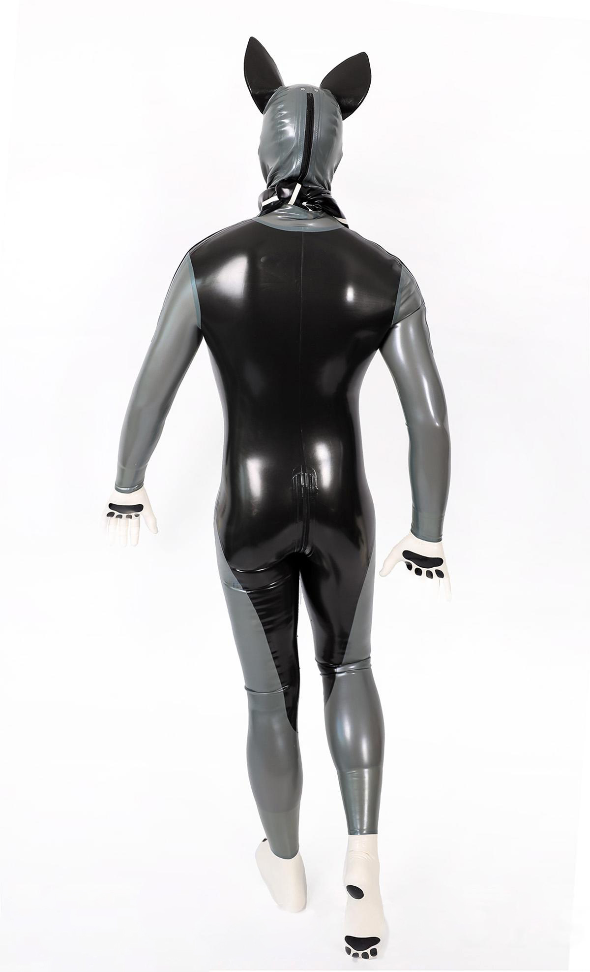 Mannelijke grijze ezel latex Catsuit