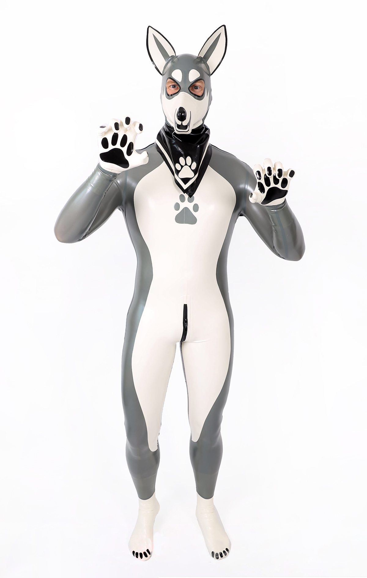 Mannelijke grijze ezel latex Catsuit