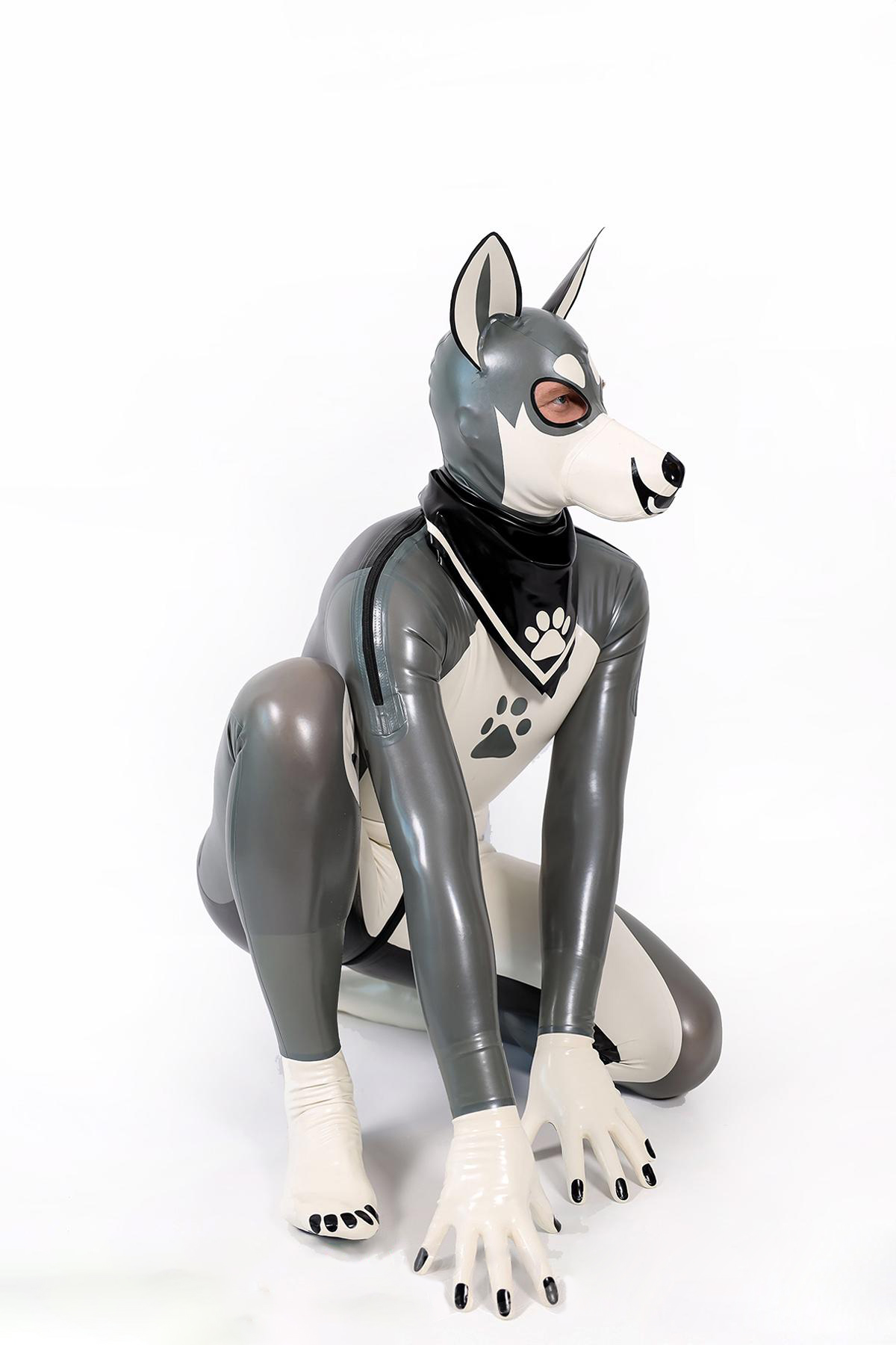 Male Grey Donkey Latex Catsuit