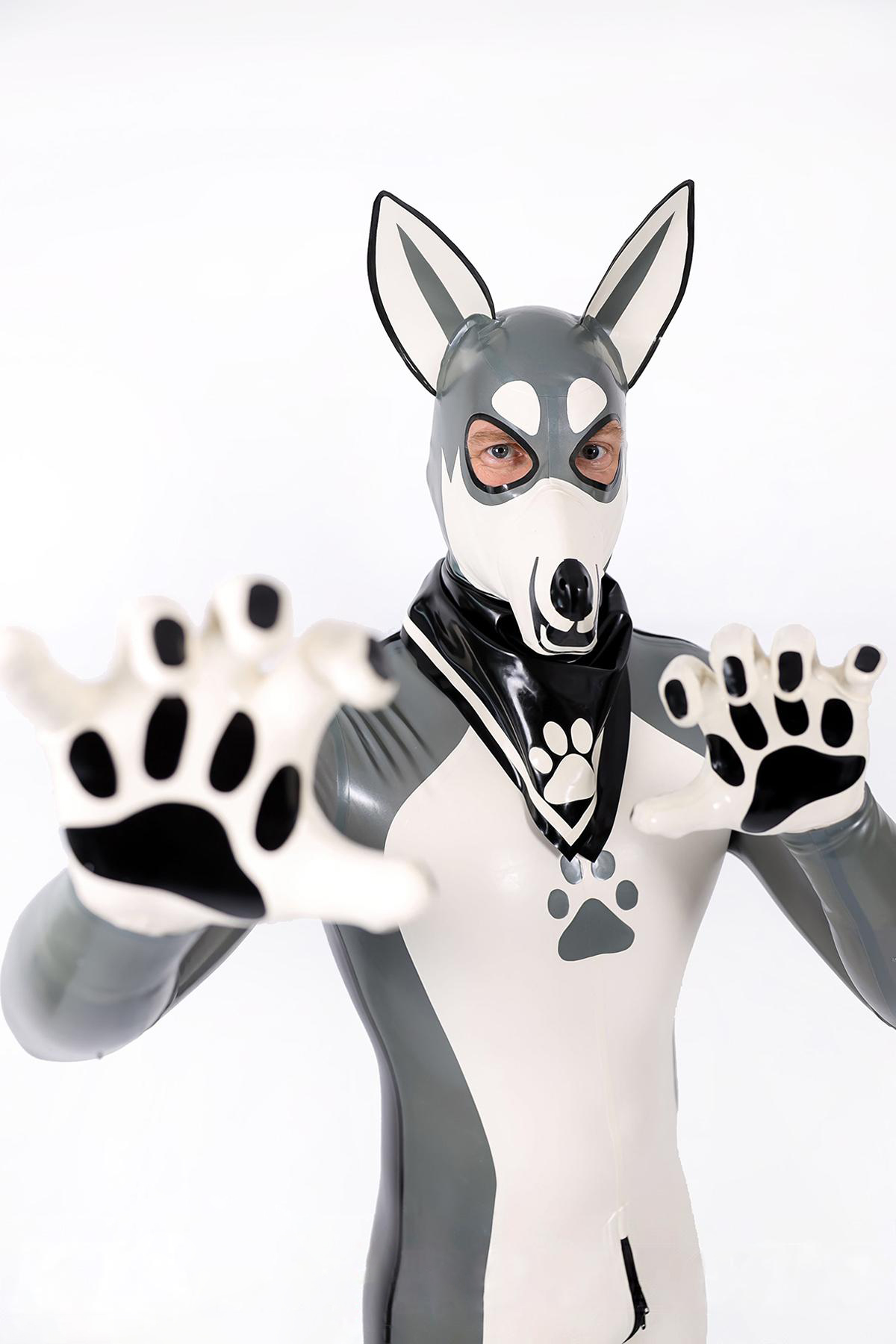 Male Grey Donkey Latex Catsuit