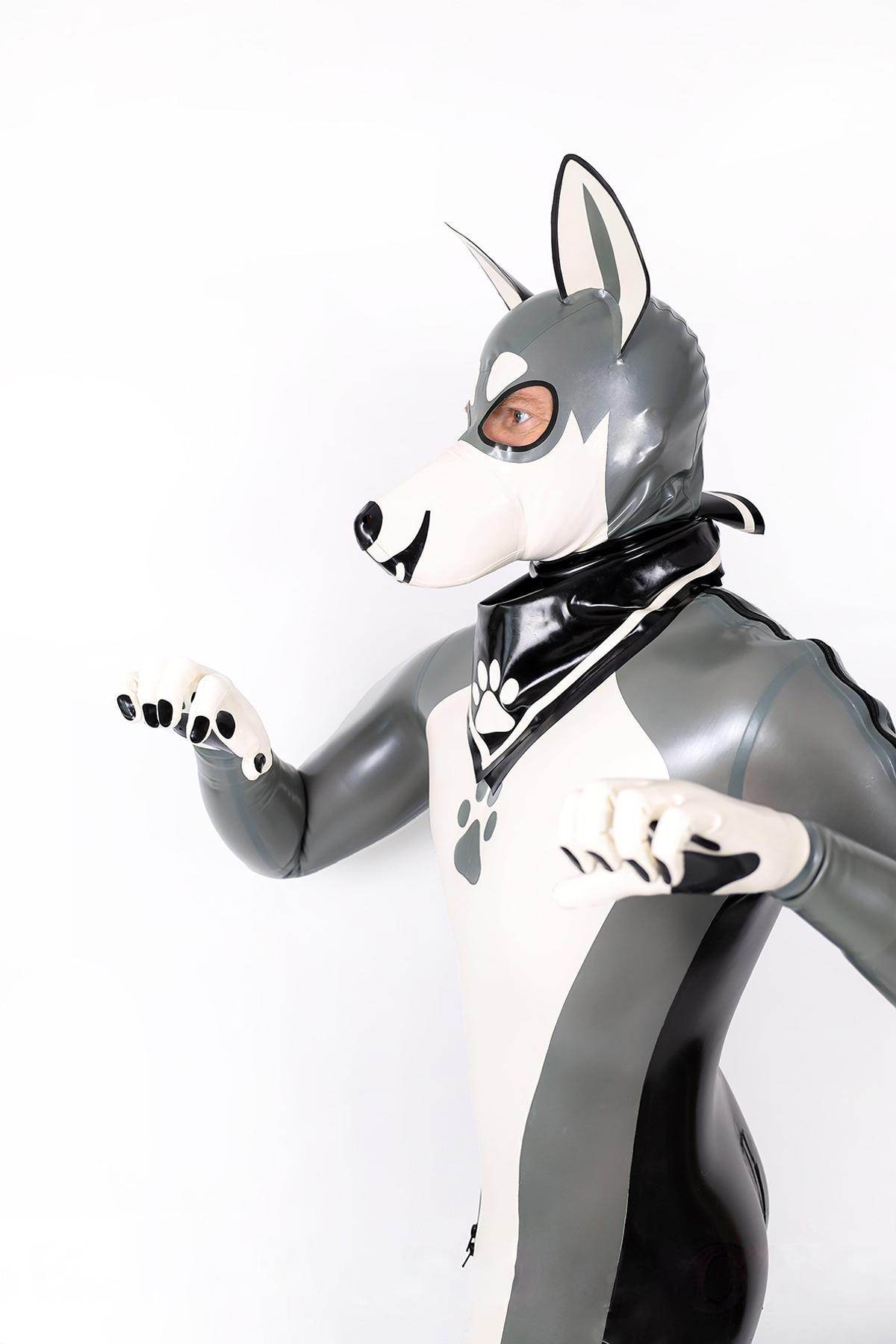 Male Grey Donkey Latex Catsuit