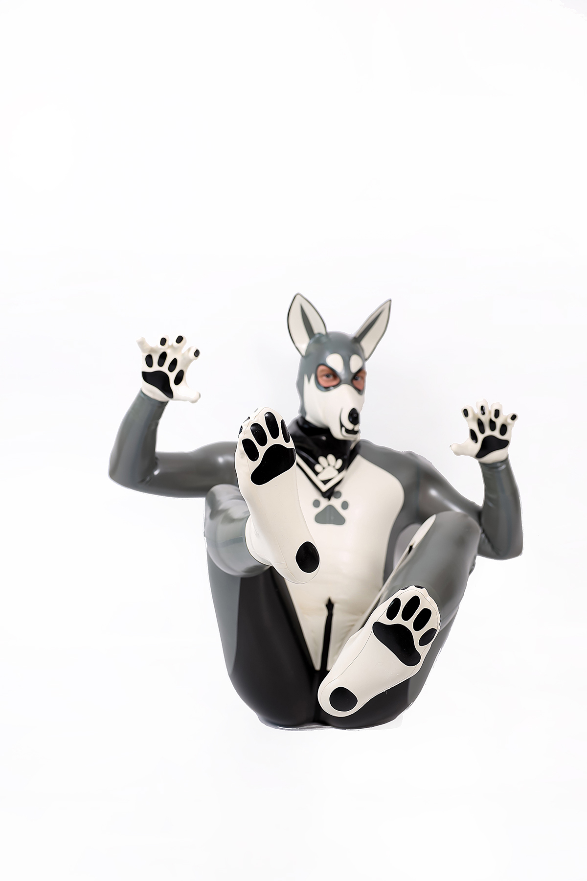 Male Grey Donkey Latex Catsuit