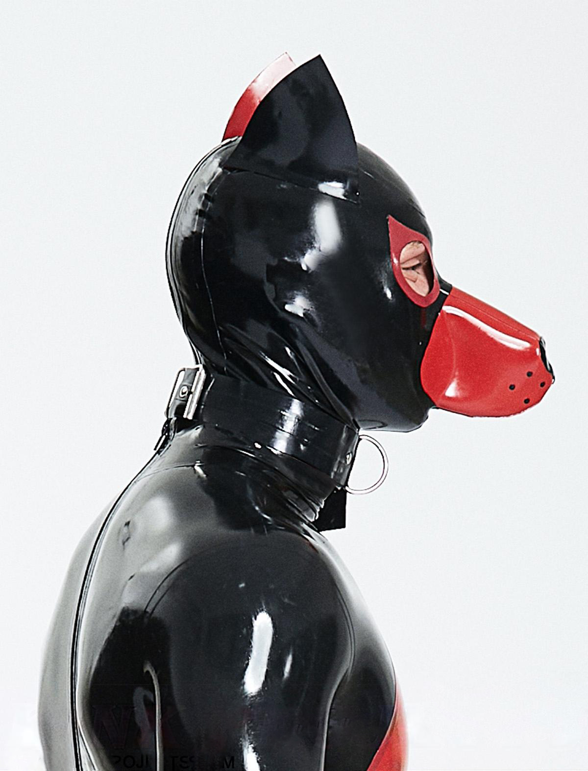 Male Moochie Poochy Catsuit